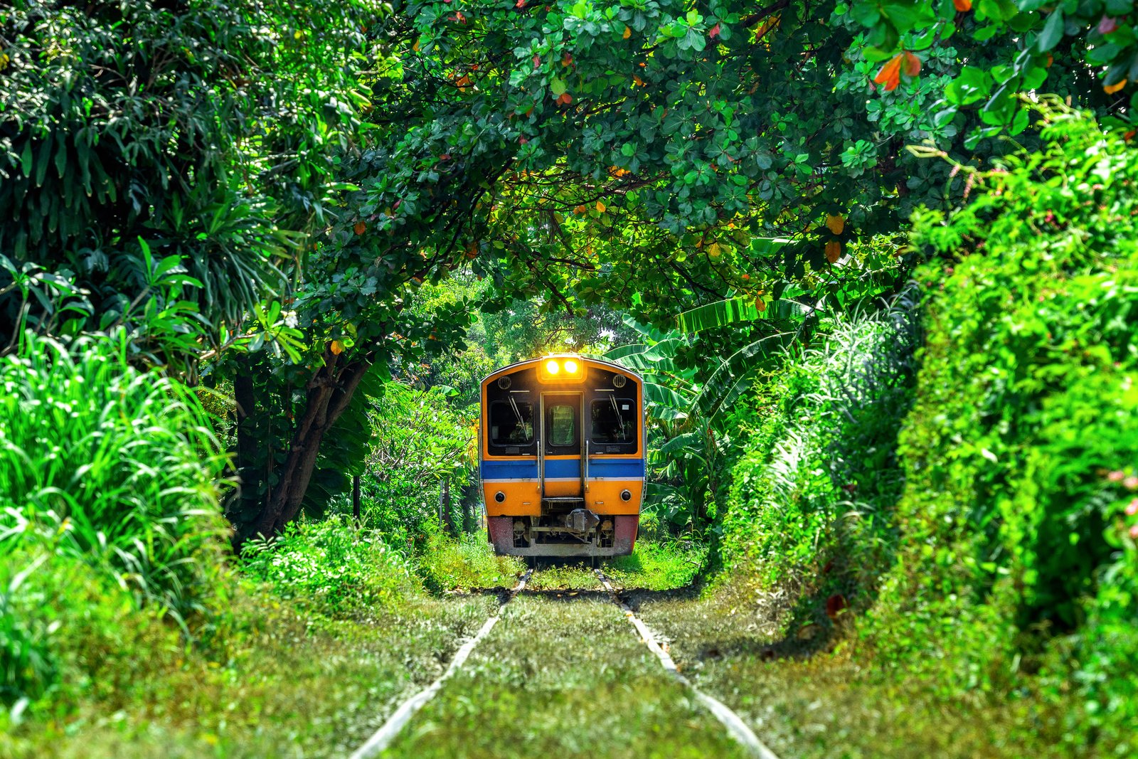 Sri Lanka 
